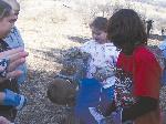 opaw3p-brookfieldbirds71girlbuilding.jpg